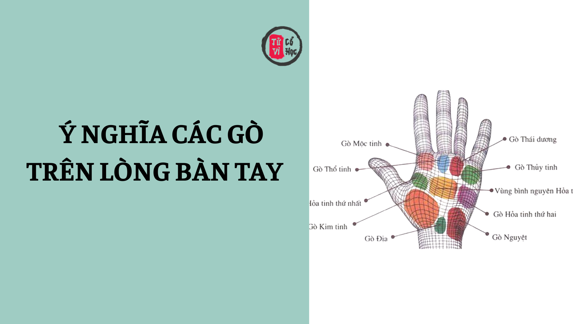 Vị trí và ý nghĩa các gò có trên lòng bàn tay | Tử Vi Cổ Học 