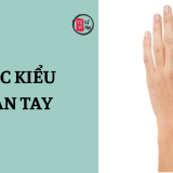 Các kiểu bàn tay nói lên khí chất và tính cách con người 8 Các kiểu bàn tay nói lên khí chất và tính cách con người | Tử Vi Cổ Học