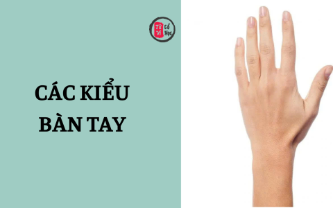 Các kiểu bàn tay nói lên khí chất và tính cách con người