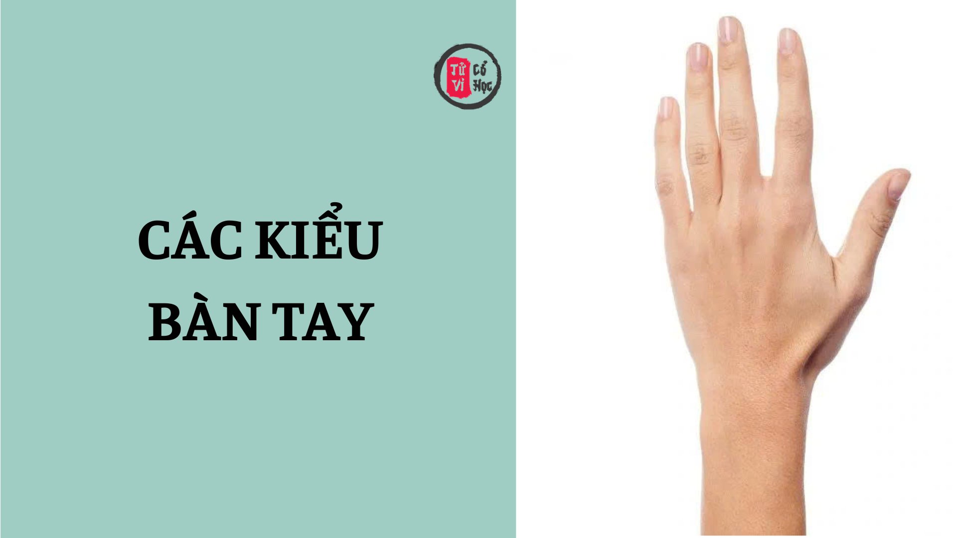 Các kiểu bàn tay nói lên khí chất và tính cách con người | Tử Vi Cổ Học