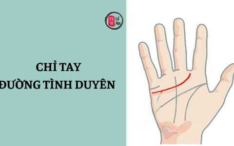 Xem chỉ tay đường tình duyên – hé lộ chuyện tình cảm và hôn nhân 13 Xem chỉ tay đường tình duyên – hé lộ chuyện tình cảm và hôn nhân
