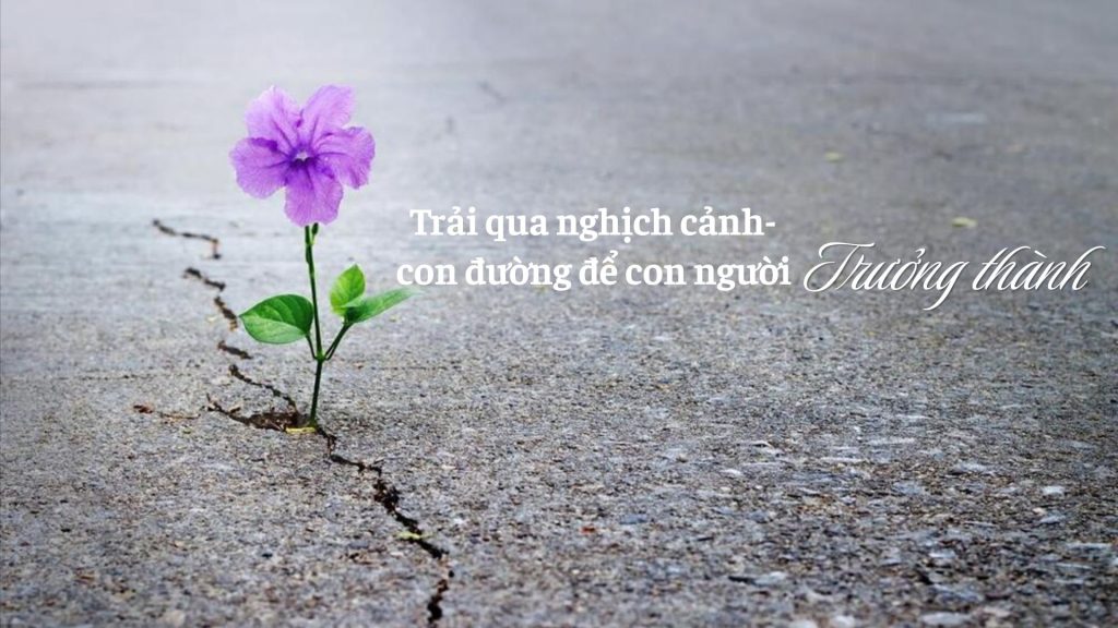 Trải qua nghịch cảnh – con đường để con người trưởng thành 1 Trải qua nghịch cảnh cũng là một cách giúp con người ta trưởng thành hơn | Tử Vi Cổ Học