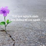 Trải qua nghịch cảnh cũng là một cách giúp con người ta trưởng thành hơn | Tử Vi Cổ Học