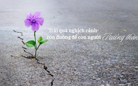Trải qua nghịch cảnh – con đường để con người trưởng thành 3 Trải qua nghịch cảnh – con đường để con người trưởng thành
