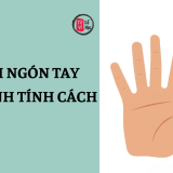 Độ dài các ngón tay nói lên tính cách con người 5 Độ dài các ngón tay và tính cách con người | Tử Vi Cổ Học