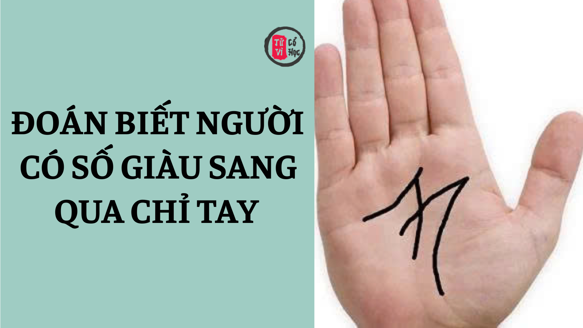 Đoán biết người có số giàu sang qua chỉ tay 2 Đoán bắt người có số giàu sang qua chỉ tay | Tử Vi Cổ Học