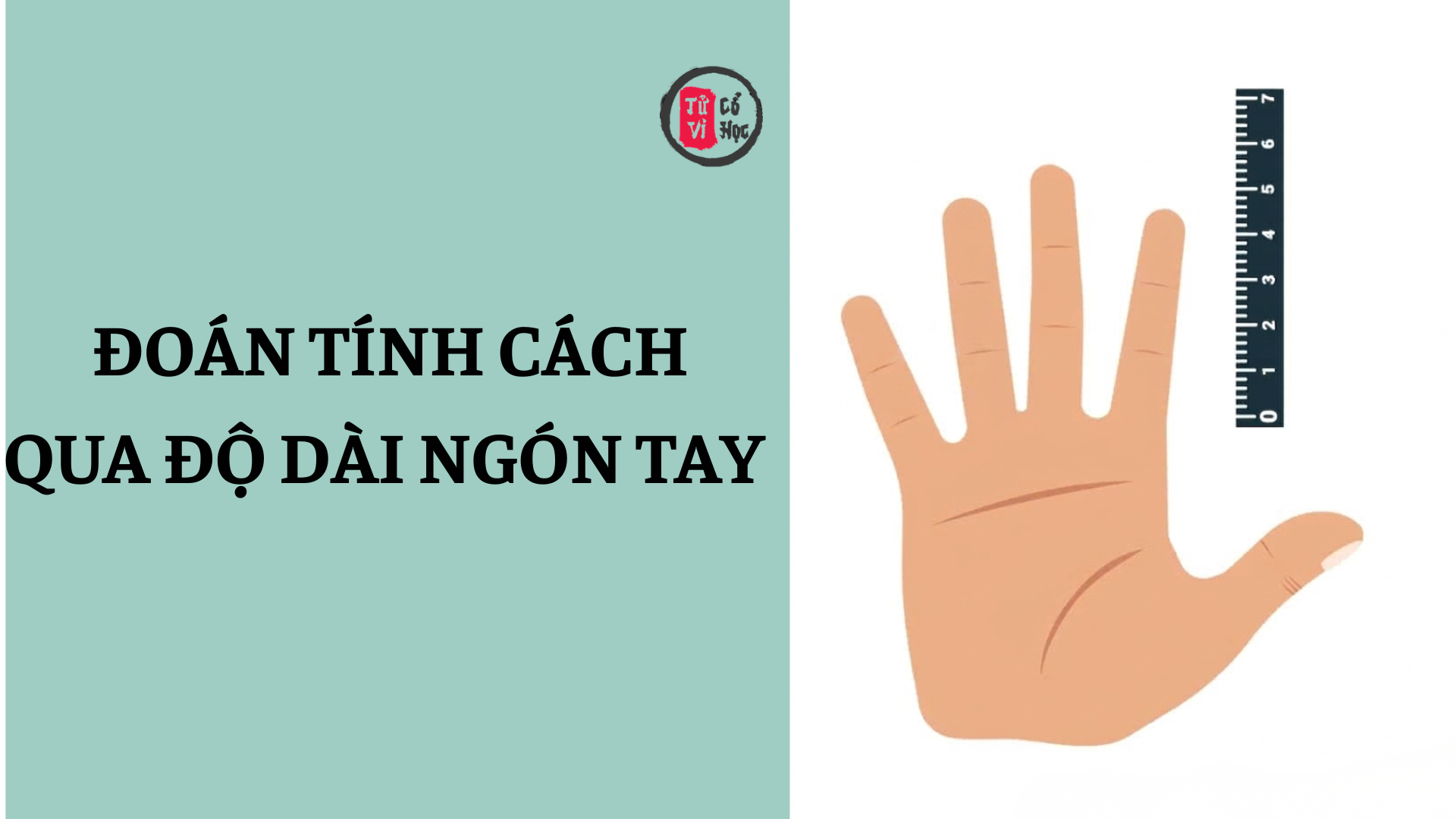 Đoán tính cách qua độ dài các ngón tay 2 Đoán tính cách qua độ dài các ngón tay | Tử Vi Cổ Học