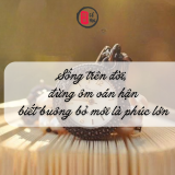 Sống trên đời, đừng ôm oán hận – biết buông bỏ mới là phúc lớn | Tử Vi Cổ Học