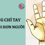 Những đường chỉ tay báo hiệu bản lĩnh hơn người 8 Những đường chỉ tay báo hiệu bản lĩnh hơn người | Tử Vi Cổ Học