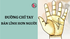 Trang chủ 49 Những đường chỉ tay báo hiệu bản lĩnh hơn người
