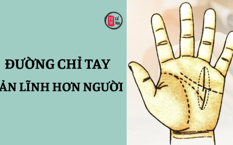 Những đường chỉ tay báo hiệu bản lĩnh hơn người