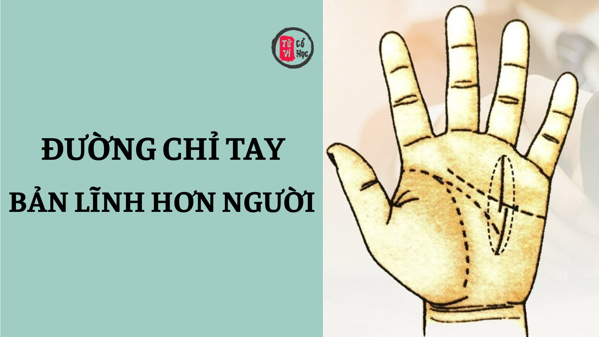 Những đường chỉ tay báo hiệu bản lĩnh hơn người 2 Những đường chỉ tay báo hiệu bản lĩnh hơn người | Tử Vi Cổ Học