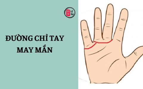 Đường chỉ tay may mắn 17 Đường chỉ tay may mắn