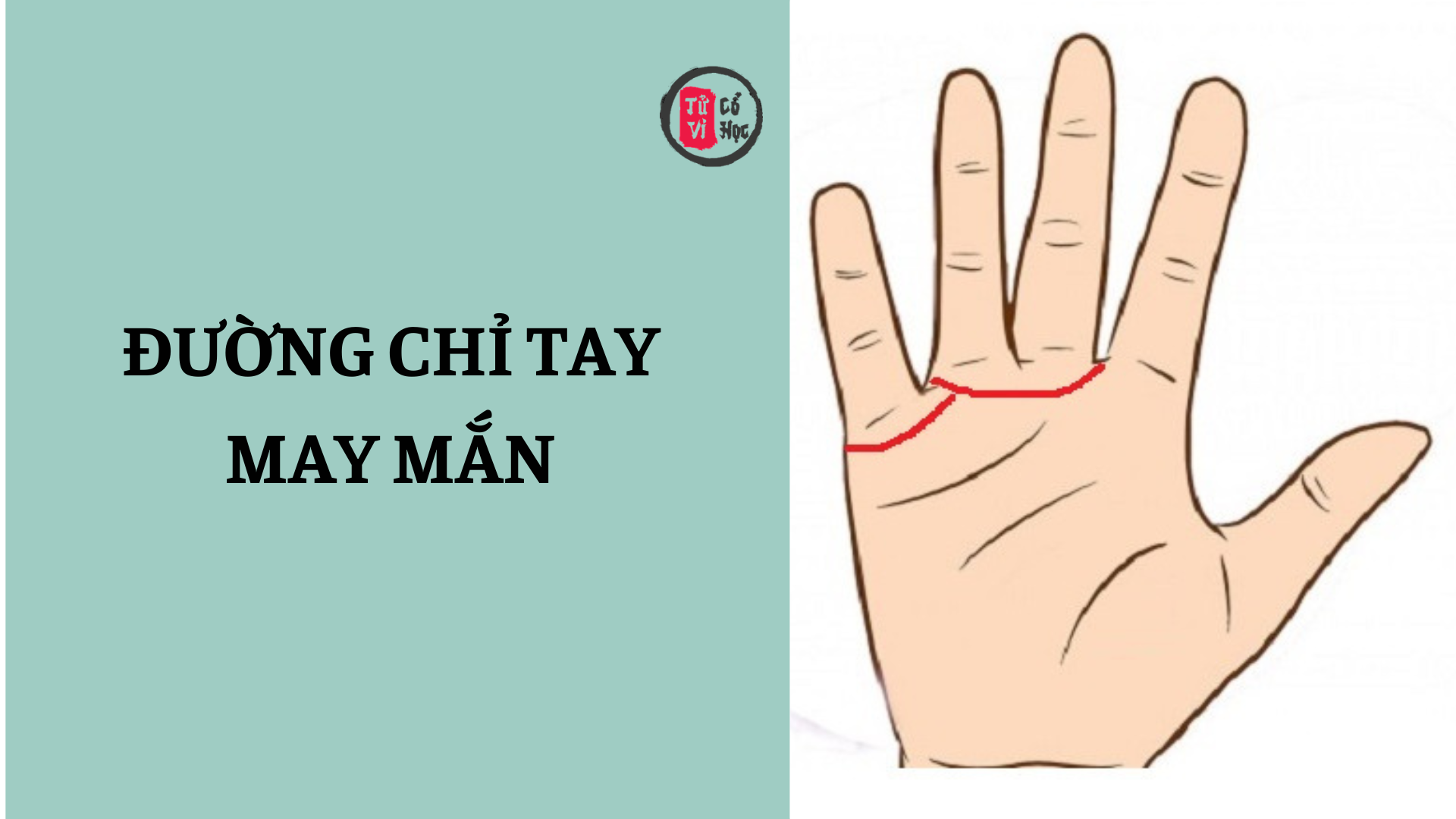 Đường chỉ tay may mắn 2 Đường chỉ tay may mắn | Tử Vi Cổ Học