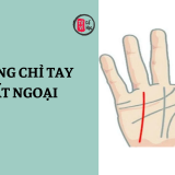 Xem bói đường chỉ tay xuất ngoại – dấu hiệu cho thấy cơ hội đi xa, định cư nước ngoài 5 Xem bói đường chỉ tay xuất ngoại trên bàn tay bạn | Tử Vi Cổ Học