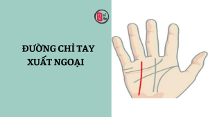 Trang chủ 17 Xem bói đường chỉ tay xuất ngoại – dấu hiệu cho thấy cơ hội đi xa, định cư nước ngoài