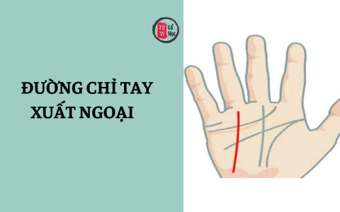 Xem bói đường chỉ tay xuất ngoại – dấu hiệu cho thấy cơ hội đi xa, định cư nước ngoài 9 Xem bói đường chỉ tay xuất ngoại – dấu hiệu cho thấy cơ hội đi xa, định cư nước ngoài