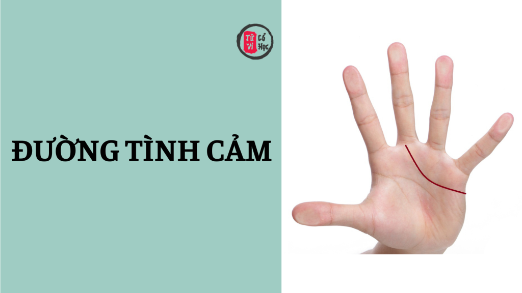 Bạn đã thực sự hiểu ý nghĩa đường Tình cảm trên bàn tay mình? 1 Bạn đã thực sự hiểu ý nghĩa đường Tình cảm trên bàn tay mình? | Tử Vi Cổ Học