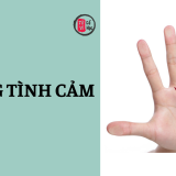Bạn đã thực sự hiểu ý nghĩa đường Tình cảm trên bàn tay mình? 10 Bạn đã thực sự hiểu ý nghĩa đường Tình cảm trên bàn tay mình? | Tử Vi Cổ Học
