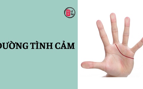 Bạn đã thực sự hiểu ý nghĩa đường Tình cảm trên bàn tay mình?