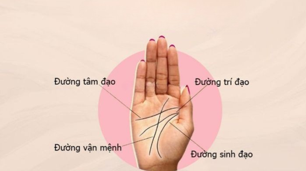 Những đường chỉ tay báo hiệu bản lĩnh hơn người 3 duong van menh