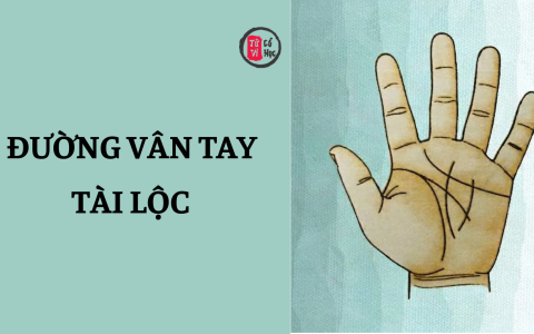 9 đường vân tay báo hiệu tài lộc dồi dào, cuộc sống giàu sang