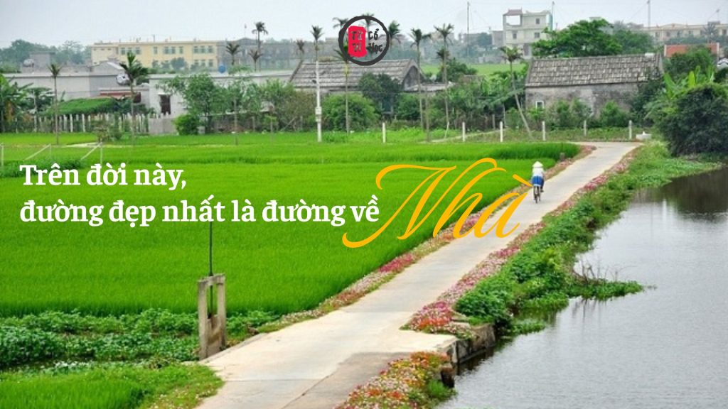 Trên đời này, đường đẹp nhất là đường về nhà 1 Trên đời này, đường đẹp nhất là đường về nhà | Tử Vi Cổ Học