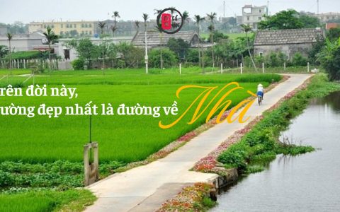 Trên đời này, đường đẹp nhất là đường về nhà 6 Trên đời này, đường đẹp nhất là đường về nhà