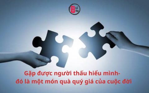 Gặp được người thấu hiểu mình – đó là một món quà quý giá của cuộc đời 11 Gặp được người thấu hiểu mình – đó là một món quà quý giá của cuộc đời