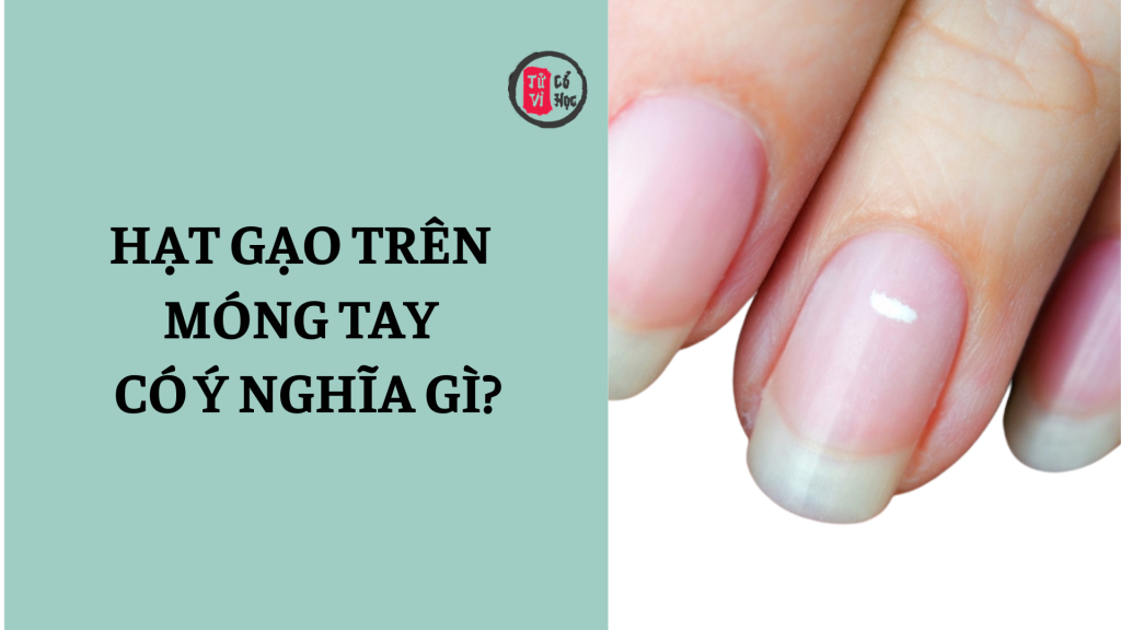 Hạt gạo trên móng tay có ý nghĩa gì? | Tử Vi Cổ Học