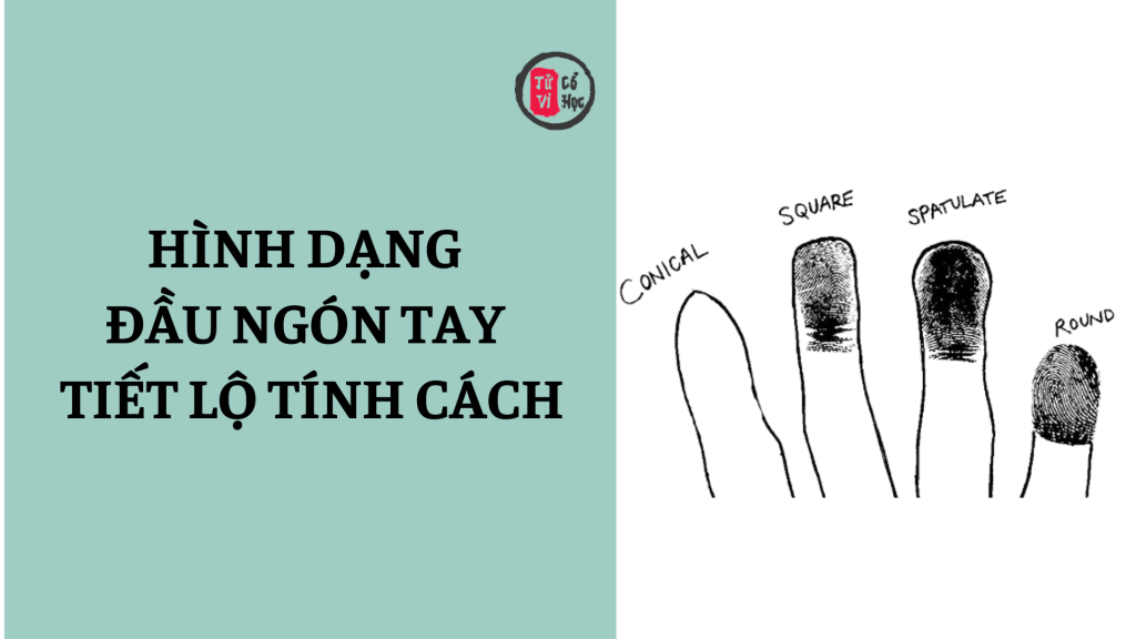 Hình dạng đầu ngón tay tiết lộ điều gì về tính cách của bạn? | Tử Vi Cổ Học
