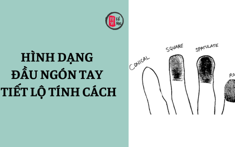 Hình dạng đầu ngón tay tiết lộ điều gì về tính cách của bạn? 14 Hình dạng đầu ngón tay tiết lộ điều gì về tính cách của bạn?