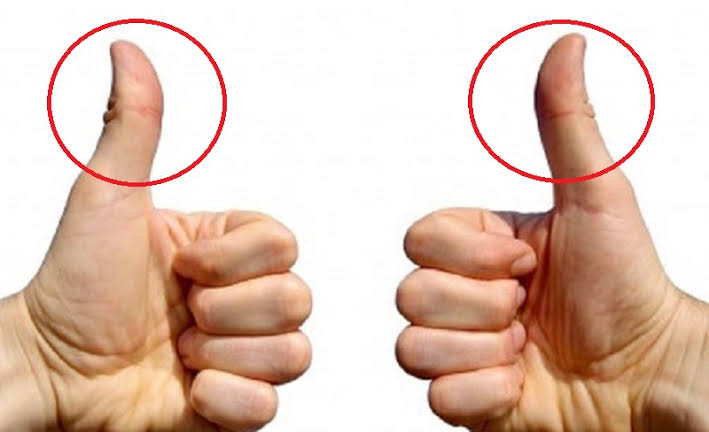 Chỉ tay của bạn có phải là tướng tay của người làm lãnh đạo? 3 images 2 3
