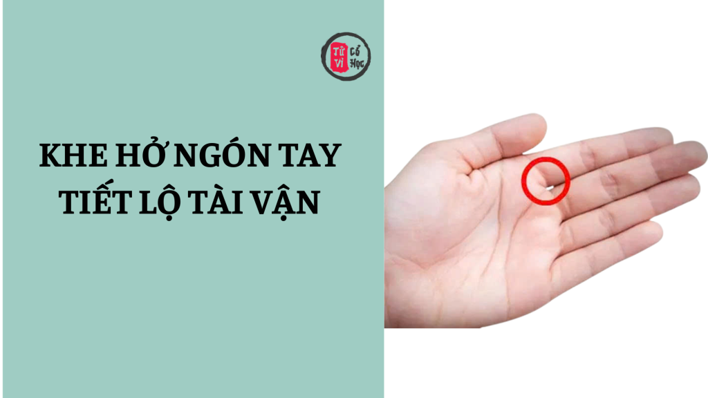 Khe hở giữa các ngón tay tiết lộ điều gì về tài vận? 1 Khe hở giữa các ngón tay tiết lộ điều gì về tài vận của bạn? | Tử Vi Cổ Học