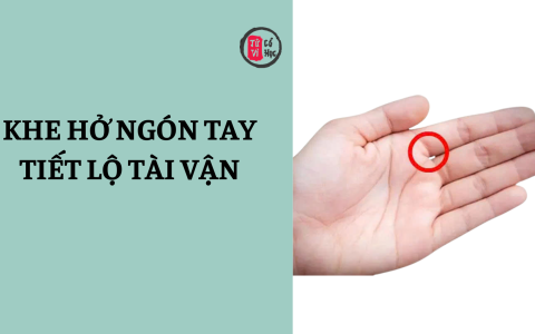 Khe hở giữa các ngón tay tiết lộ điều gì về tài vận? 12 Khe hở giữa các ngón tay tiết lộ điều gì về tài vận?