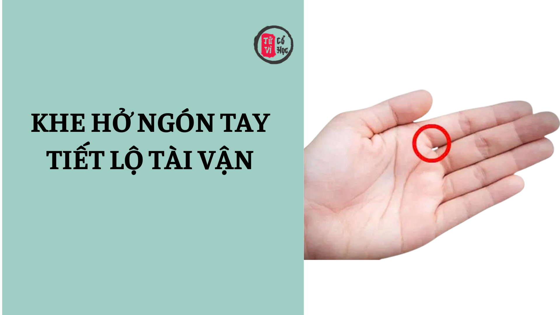 Khe hở giữa các ngón tay tiết lộ điều gì về tài vận? 2 Khe hở giữa các ngón tay tiết lộ điều gì về tài vận của bạn? | Tử Vi Cổ Học