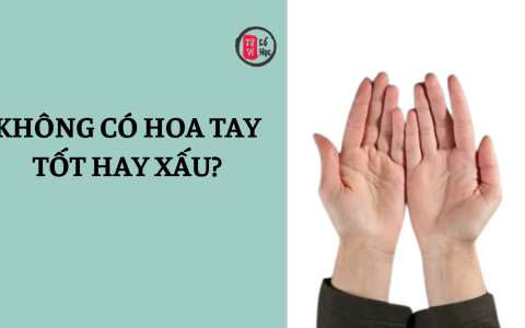 Không có hoa tay nói lên điều gì? 11 Không có hoa tay nói lên điều gì?
