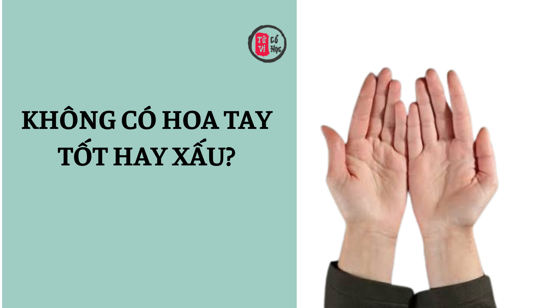 Không có hoa tay nào thì có ý nghĩa gì? | Tử Vi Cổ Học 