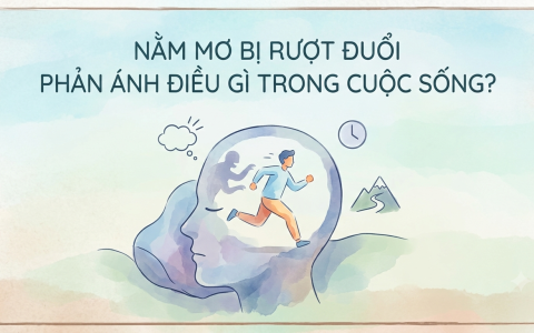 Nằm mơ bị rượt đuổi phản ánh điều gì trong cuộc sống? 2 Nằm mơ bị rượt đuổi phản ánh điều gì trong cuộc sống?