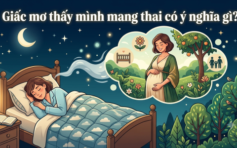 Giấc mơ thấy mình mang thai có ý nghĩa gì?