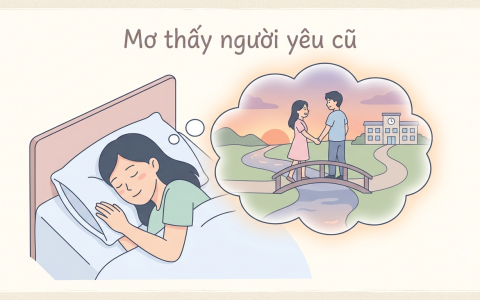 Mơ thấy người yêu cũ là điềm báo hay chỉ là ký ức? 5 Mơ thấy người yêu cũ là điềm báo hay chỉ là ký ức?