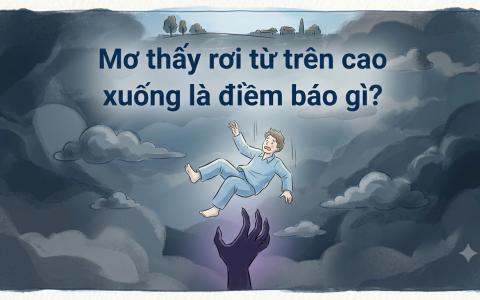 Mơ thấy rơi từ trên cao xuống là điềm báo gì? 1 Mơ thấy rơi từ trên cao xuống là điềm báo gì?