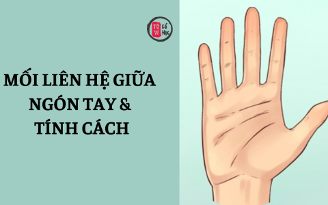 Mối liên hệ giữa ngón tay và tính cách 6 Mối liên hệ giữa ngón tay và tính cách