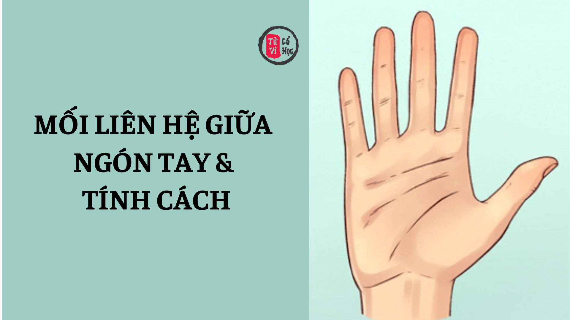 Mối liên hệ giữa ngón tay và tính cách 2 Mối liên hệ giữa ngón tay và tính cách | Tử Vi Cổ Học