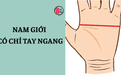 Nam giới có chỉ tay ngang có ý nghĩa gì? 4 Nam giới có chỉ tay ngang có ý nghĩa gì?