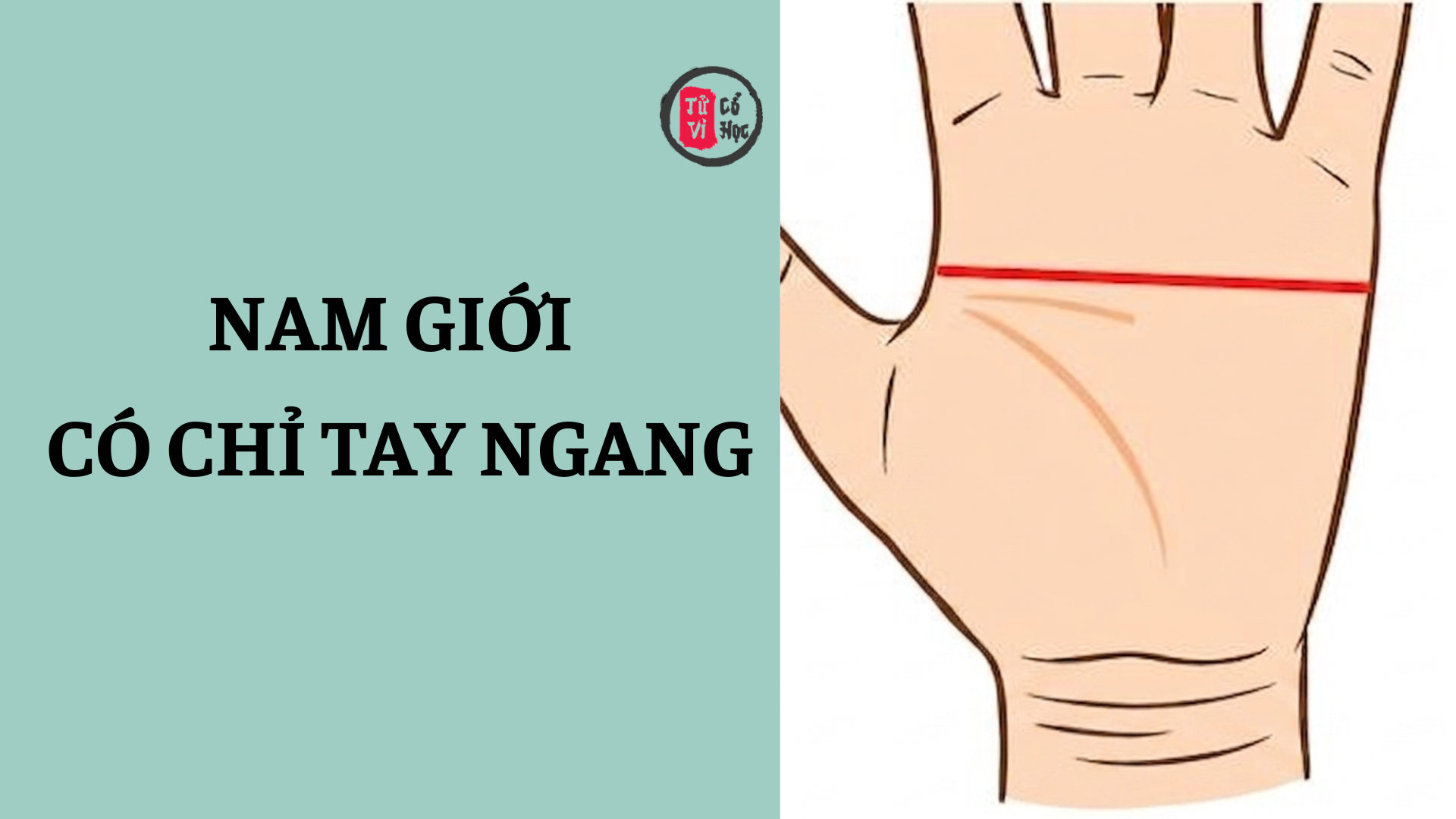 Nam giới có chỉ tay ngang có ý nghĩa gì? 2 Nam giới có chỉ tay ngang có ý nghĩa gì? | Tử Vi Cổ Học