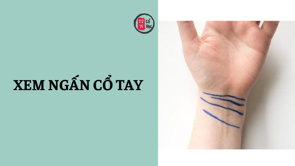 Ý nghĩa việc xem ngấn cổ tay 1 Ý nghĩa của việc xem ngấn cổ tay | Tử Vi Cổ Học