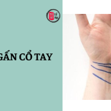 Ý nghĩa việc xem ngấn cổ tay 4 Ý nghĩa của việc xem ngấn cổ tay | Tử Vi Cổ Học