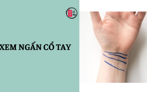 Ý nghĩa việc xem ngấn cổ tay 7 Ý nghĩa việc xem ngấn cổ tay