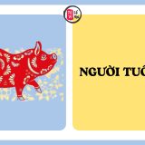 Ai có người quen tuổi Hợi, hãy hiểu những điều này về họ | Tử Vi Cổ Học